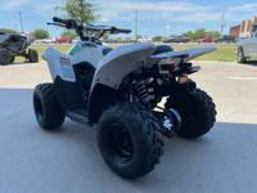 2027 Kawasaki KFX50