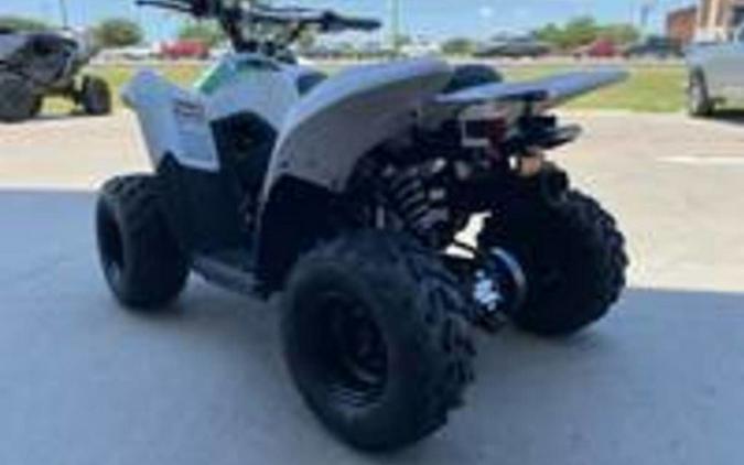 2027 Kawasaki KFX50