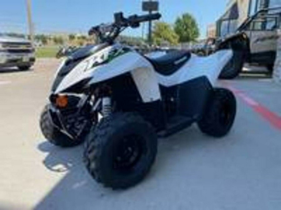 2027 Kawasaki KFX50