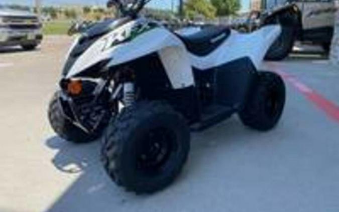 2027 Kawasaki KFX50