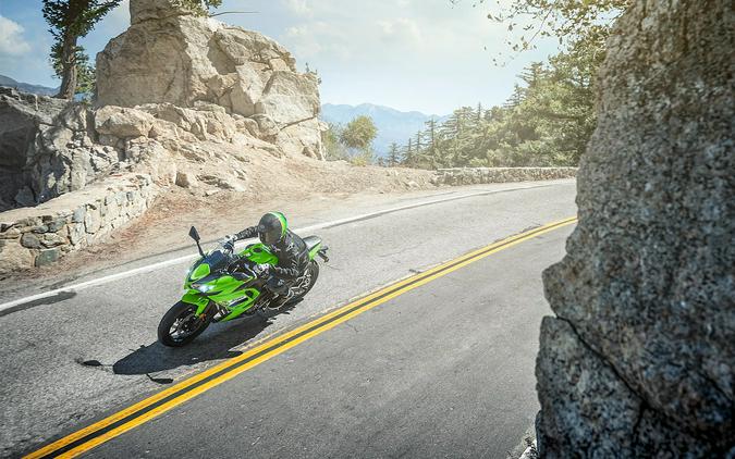 2026 Kawasaki NINJA 650 ABS Metallic Yellowish Green/Metallic Spark Black - 111096