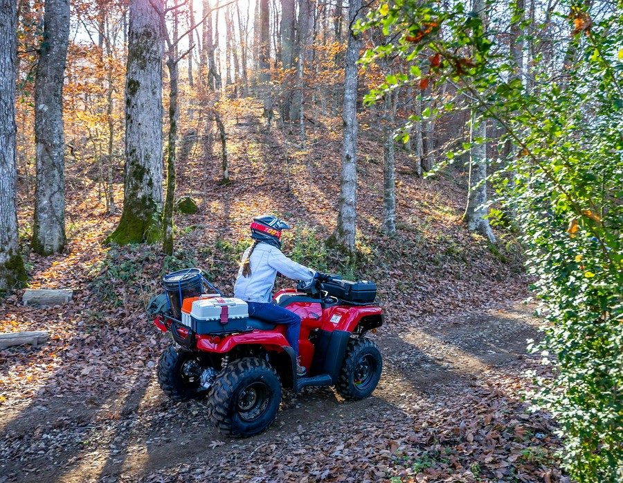 2025 Honda FourTrax Rancher® 4X4 Automatic DCT IRS EPS