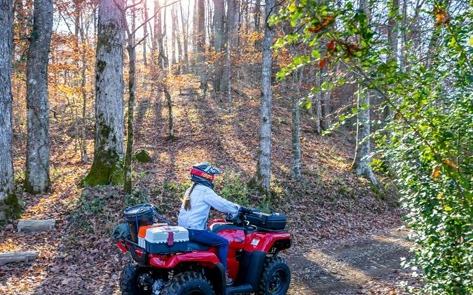 2025 Honda FourTrax Rancher® 4X4 Automatic DCT IRS EPS