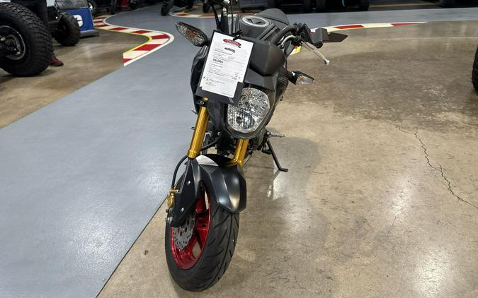 2024 Kawasaki Z125 PRO