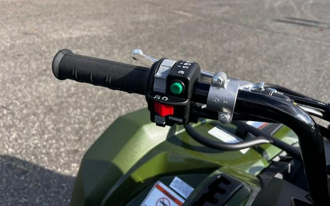 2025 Yamaha Kodiak 450 EPS