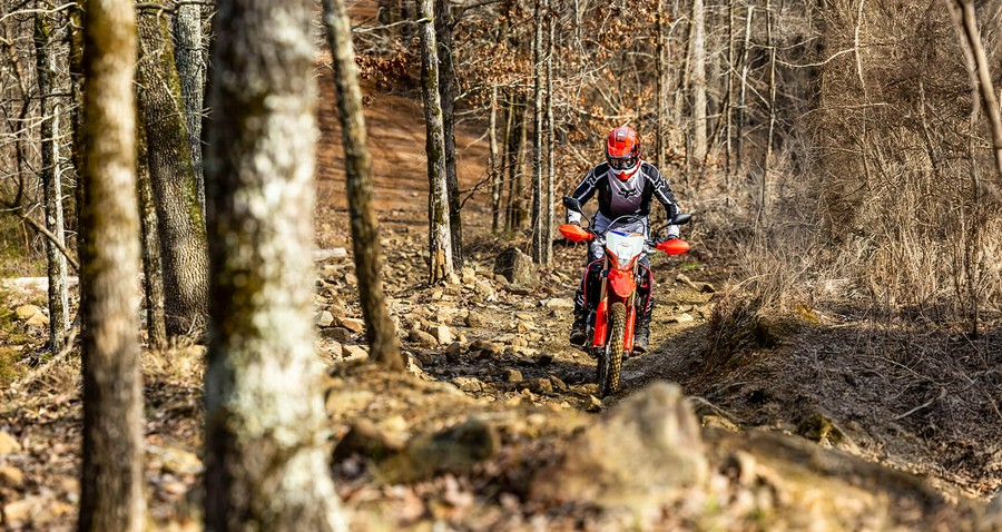 2025 Honda CRF® 300L