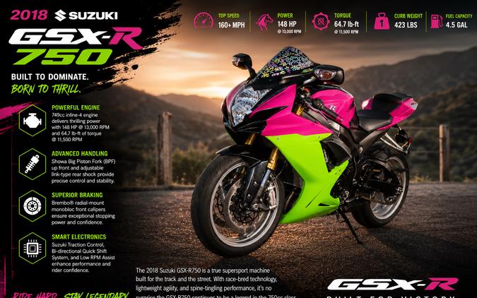 2018 SUZUKI GSX-R750 - F100587
