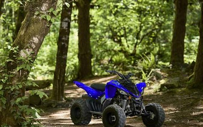 2026 Yamaha Raptor 110