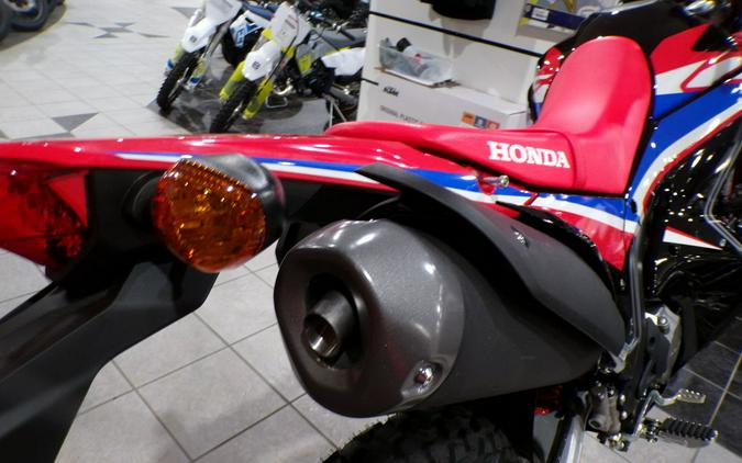 2023 Honda® CRF300L Rally