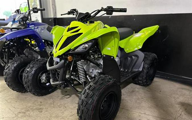 2026 Yamaha Raptor 110