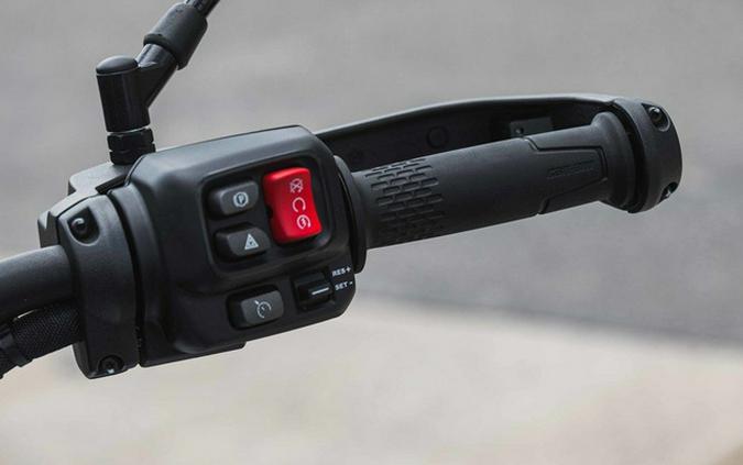 2025 Can-Am Canyon? XT