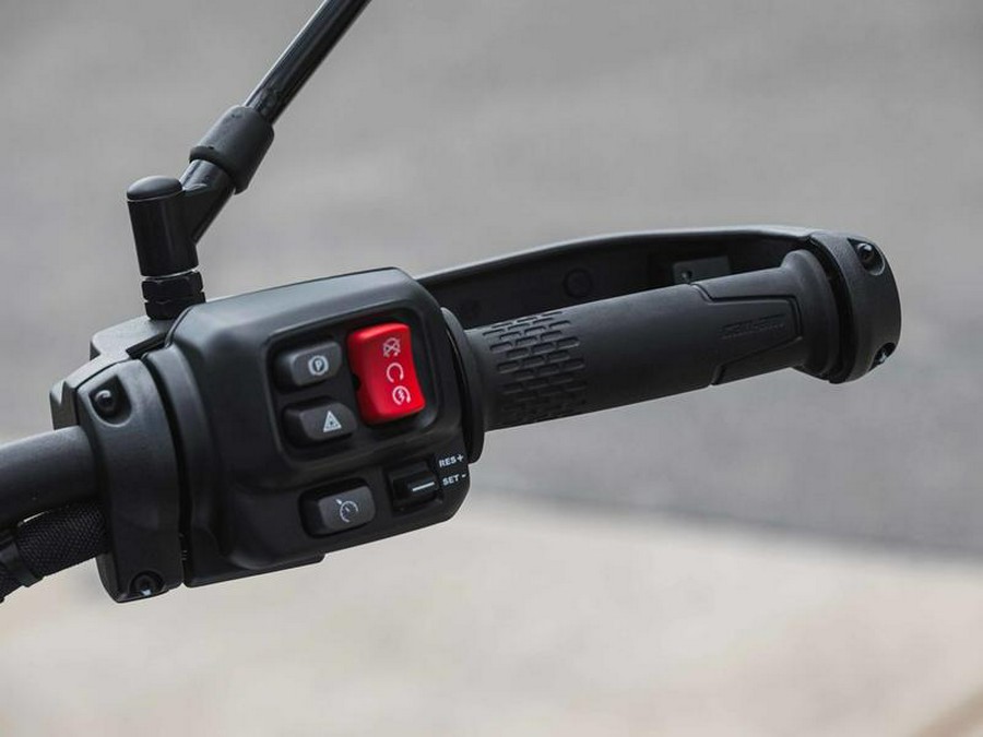 2025 Can-Am® Canyon XT