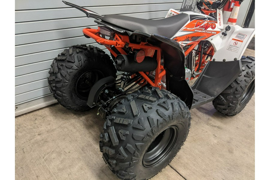 2023 Kayo Predator 125