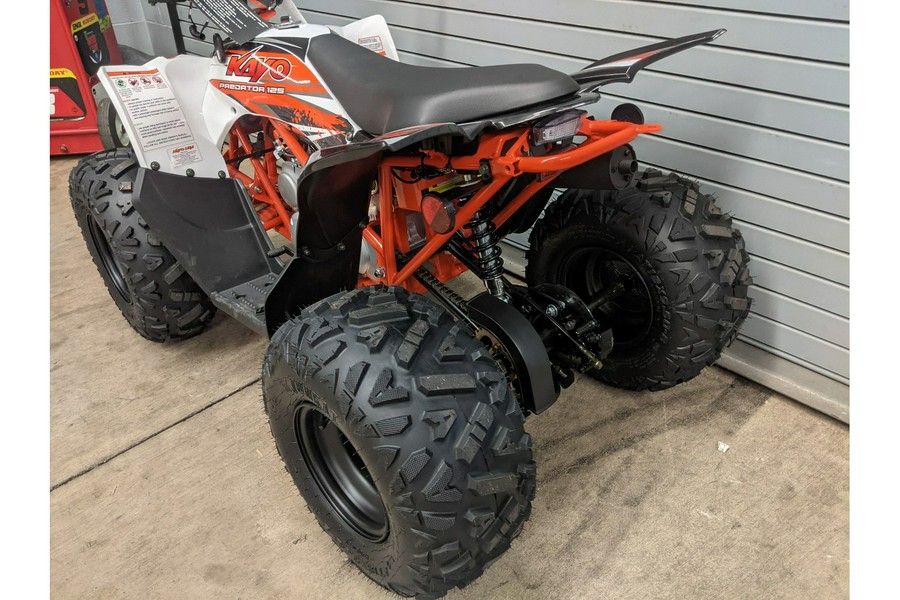 2023 Kayo Predator 125