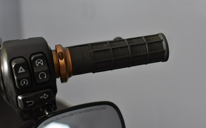 2023 Harley-Davidson Road Glide ST FLTRXST