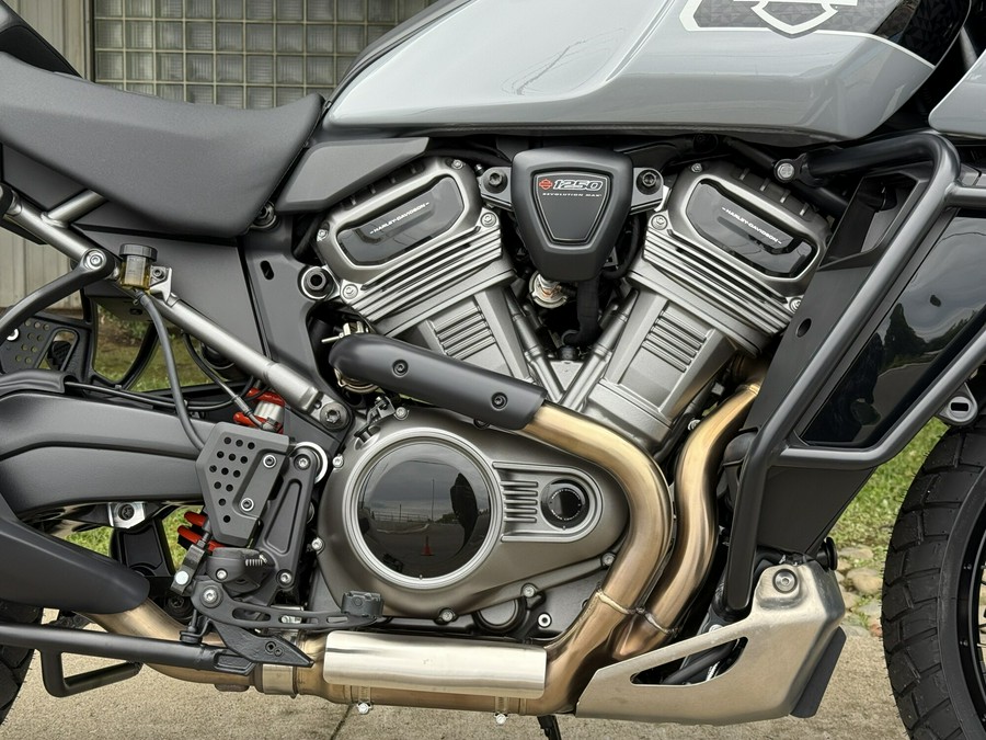 RA1250S 2026 Pan America® 1250 Special