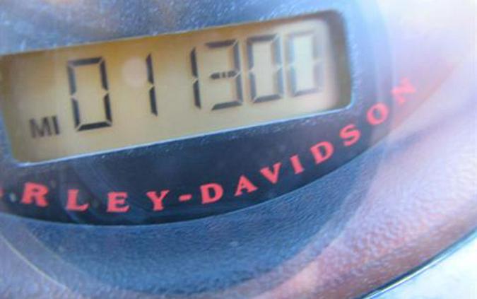 2017 Harley-Davidson Iron 883™