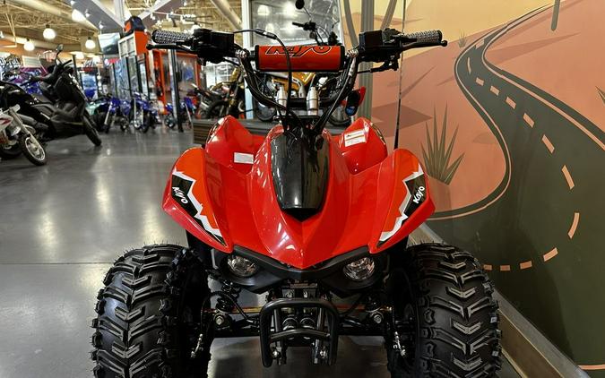 2025 Kayo Fox / Storm 70