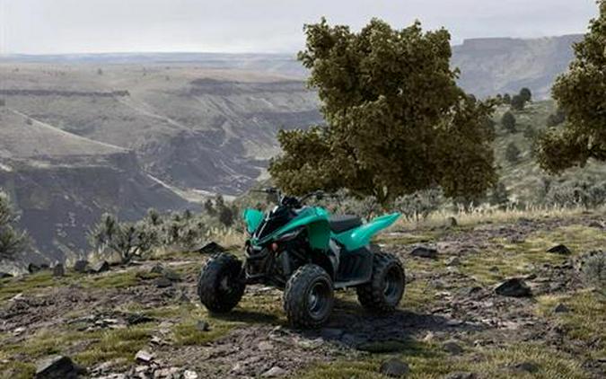 2025 Yamaha Raptor 110