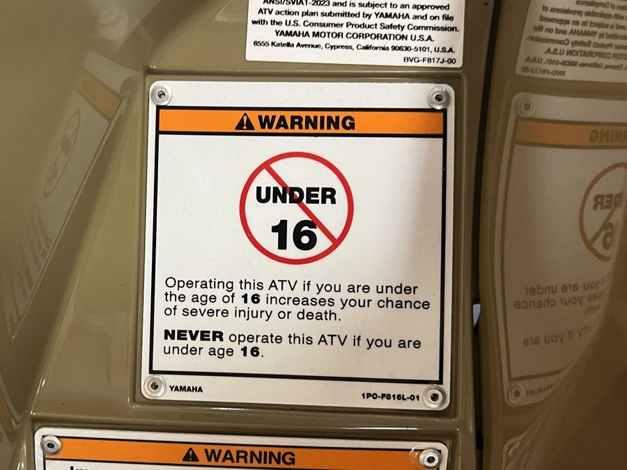 2026 Yamaha Kodiak 450 EPS Fall Beige w/ Realtree Edge