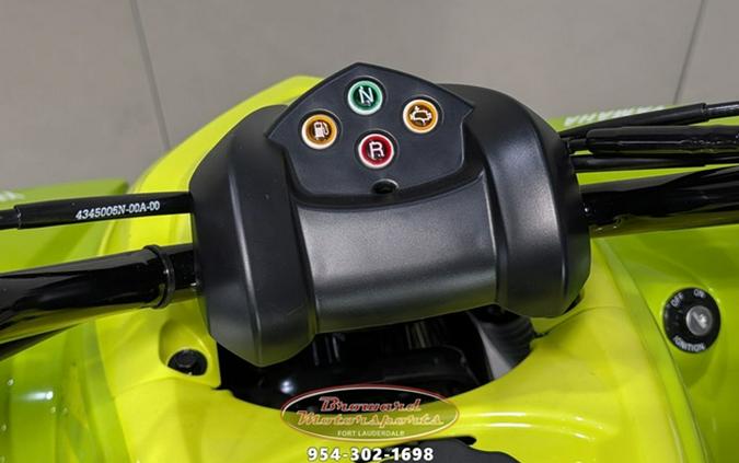 2026 Yamaha Raptor 110