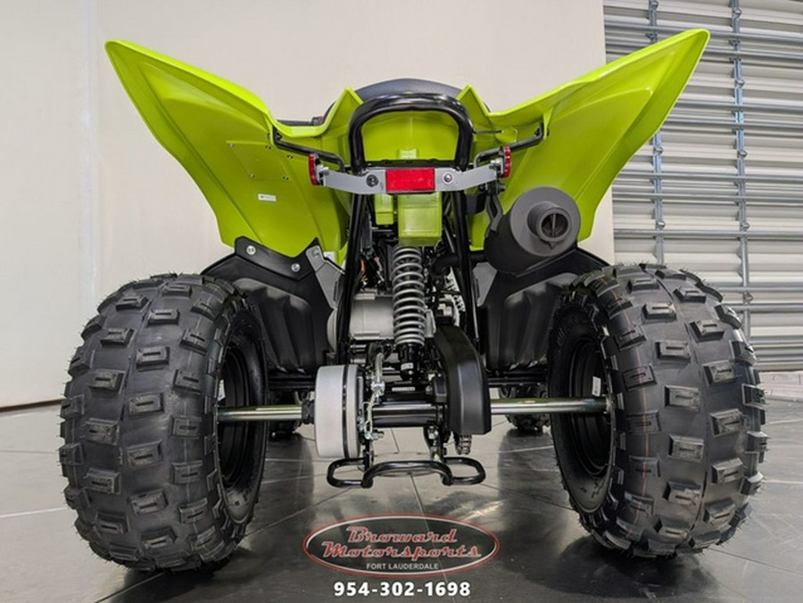 2026 Yamaha Raptor 110