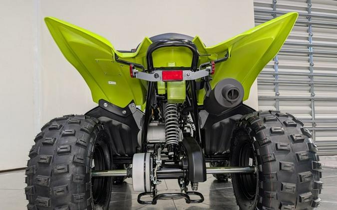 2026 Yamaha Raptor 110