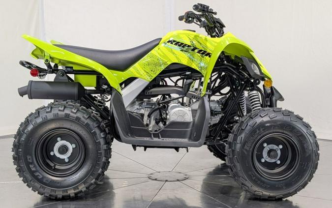 2026 Yamaha Raptor 110