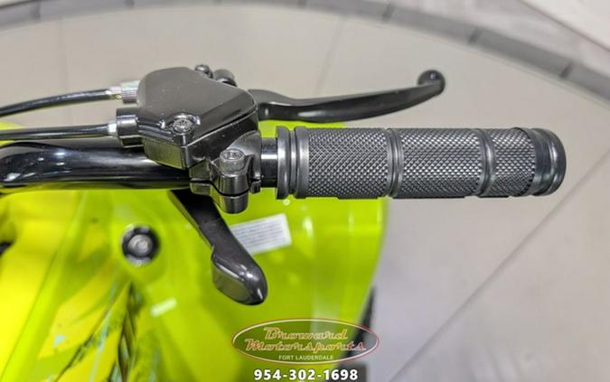 2026 Yamaha Raptor 110