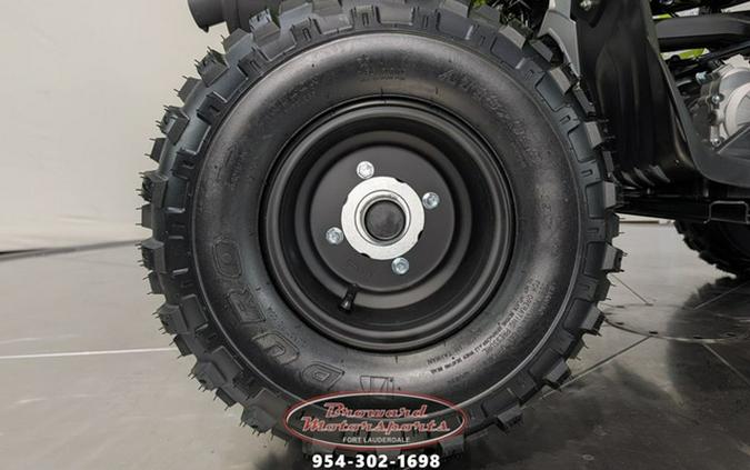 2026 Yamaha Raptor 110