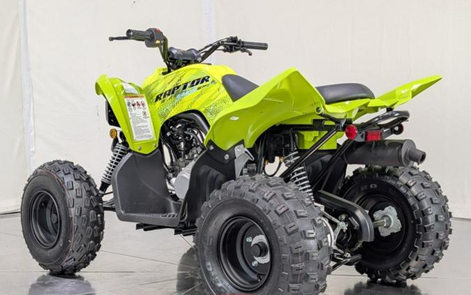 2026 Yamaha Raptor 110
