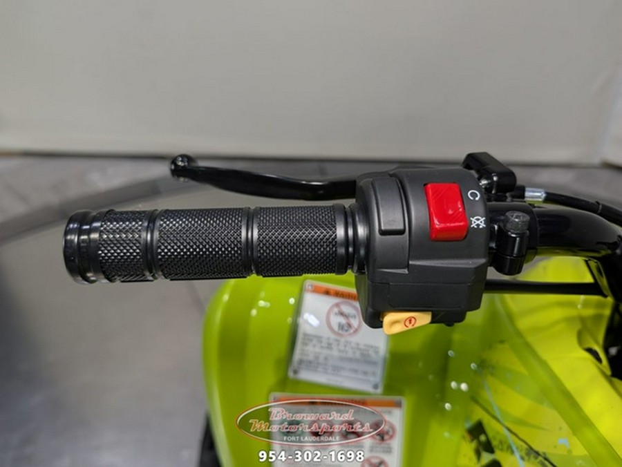 2026 Yamaha Raptor 110