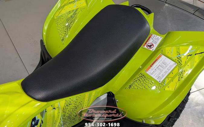 2026 Yamaha Raptor 110