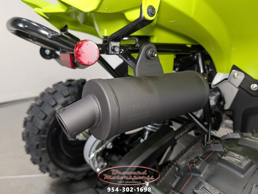 2026 Yamaha Raptor 110