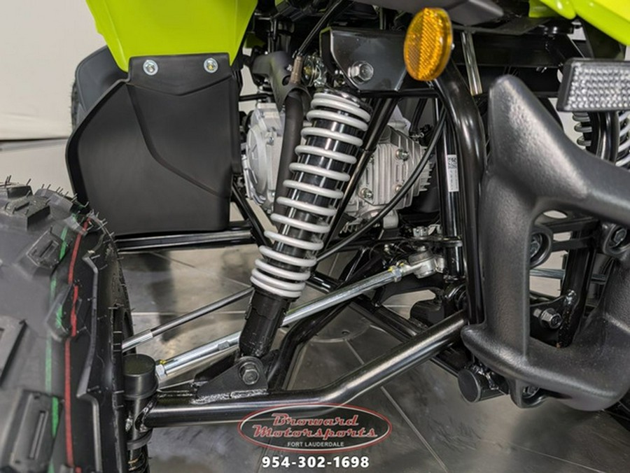 2026 Yamaha Raptor 110