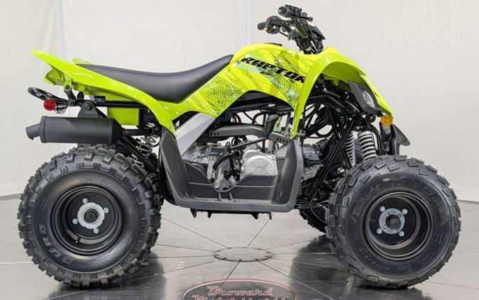 2026 Yamaha Raptor 110