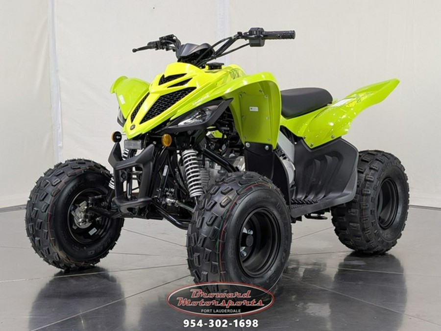 2026 Yamaha Raptor 110