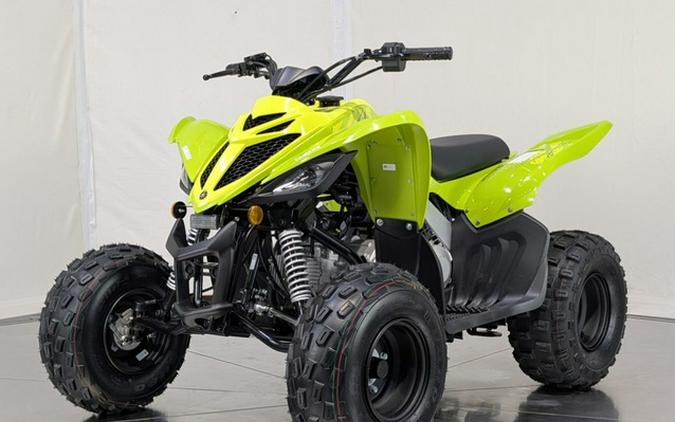 2026 Yamaha Raptor 110