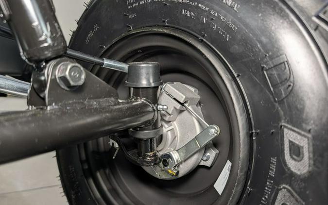 2026 Yamaha Raptor 110