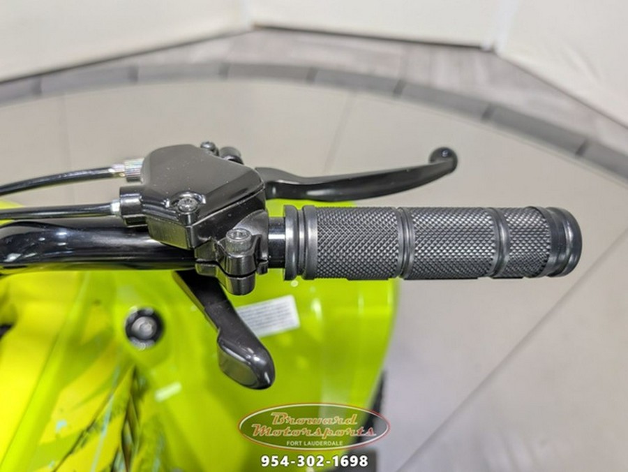 2026 Yamaha Raptor 110