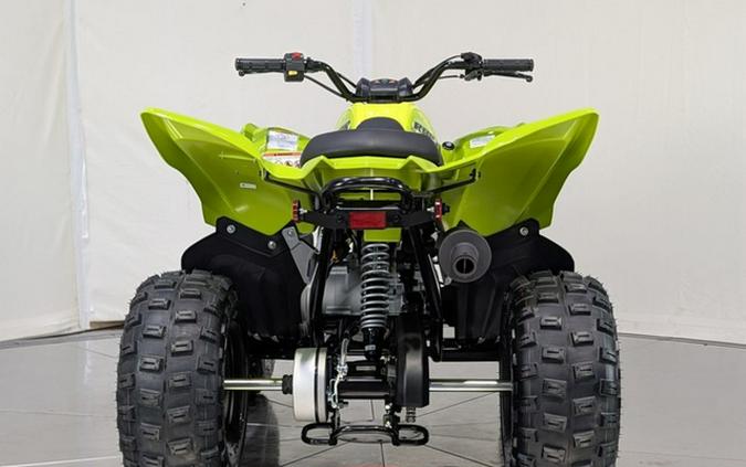 2026 Yamaha Raptor 110