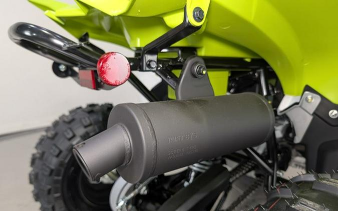 2026 Yamaha Raptor 110