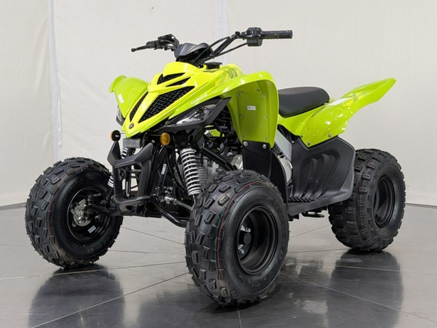 2026 Yamaha Raptor 110