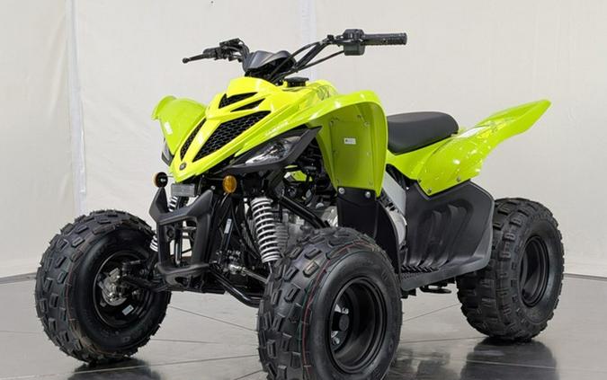 2026 Yamaha Raptor 110