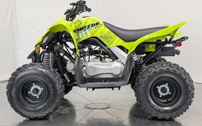 2026 Yamaha Raptor 110