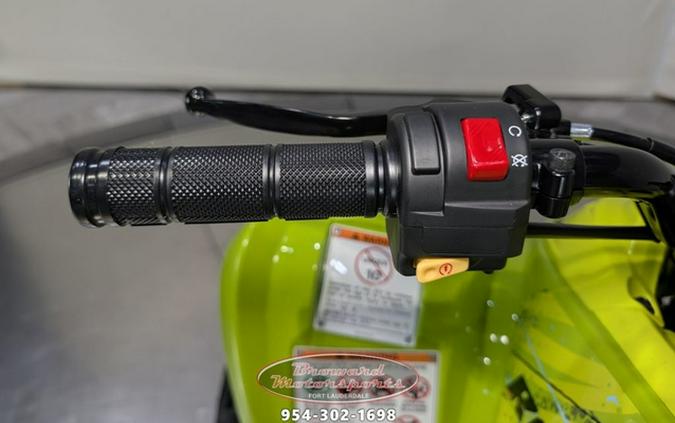 2026 Yamaha Raptor 110