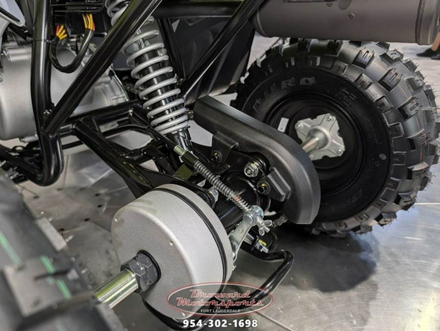 2026 Yamaha Raptor 110