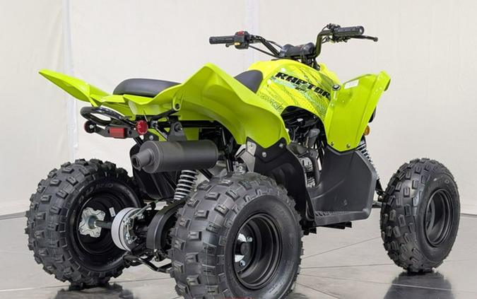 2026 Yamaha Raptor 110