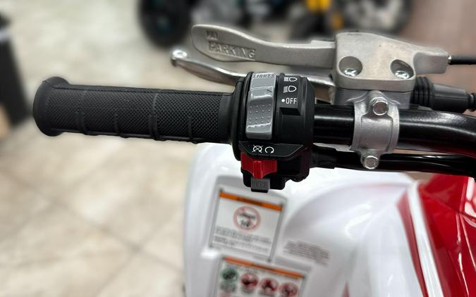 2026 Yamaha RAPTOR 700R SE 70TH ANNIVERSARY EDITION