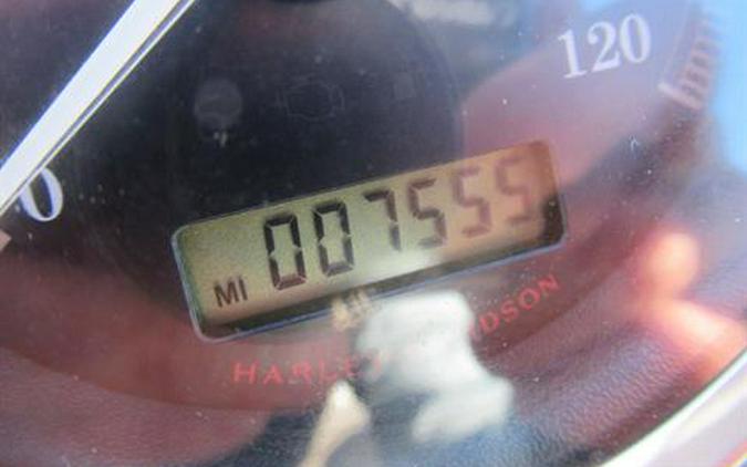 2007 Harley-Davidson XL 1200R Sportster®